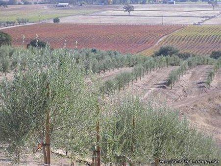 Alta Cresta Orchard & Inn Paso Robles Udogodnienia zdjęcie